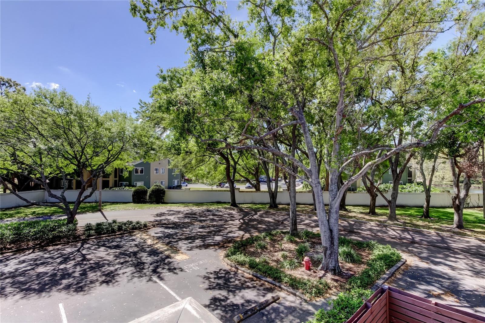 15203 W POND WOODS DR, TAMPA, FL, 33618