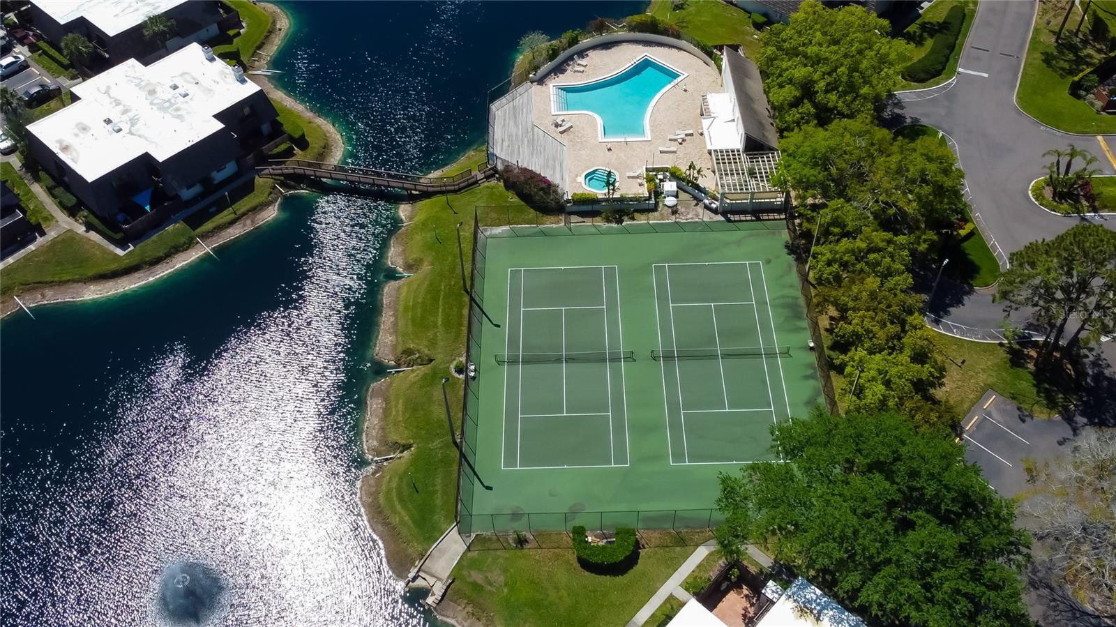 15203 W POND WOODS DR, TAMPA, FL, 33618