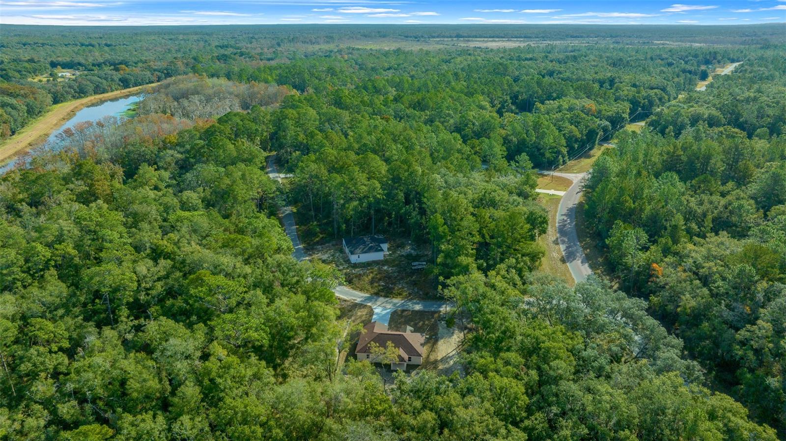16369 SE 100 PL, OCKLAWAHA, FL, 32179