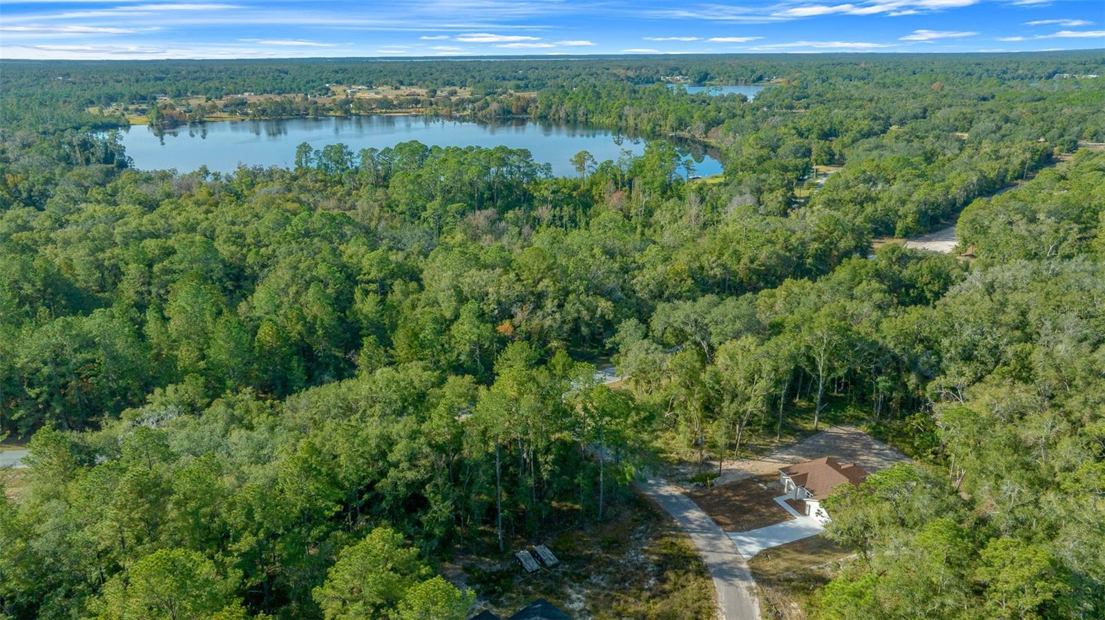 16369 SE 100 PL, OCKLAWAHA, FL, 32179