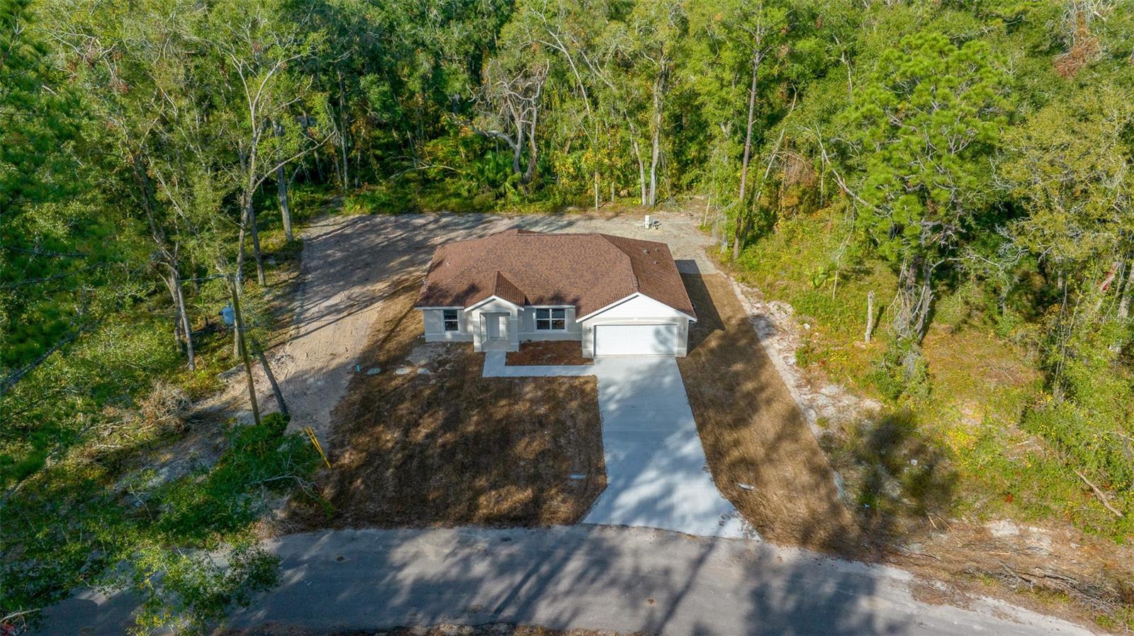 16369 SE 100 PL, OCKLAWAHA, FL, 32179