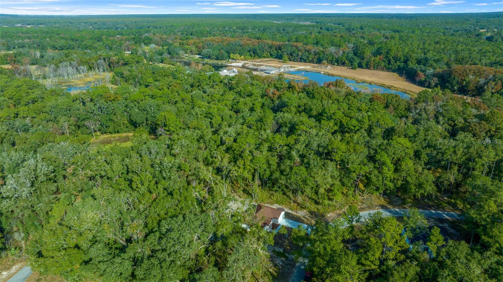 16369 SE 100 PL, OCKLAWAHA, FL, 32179