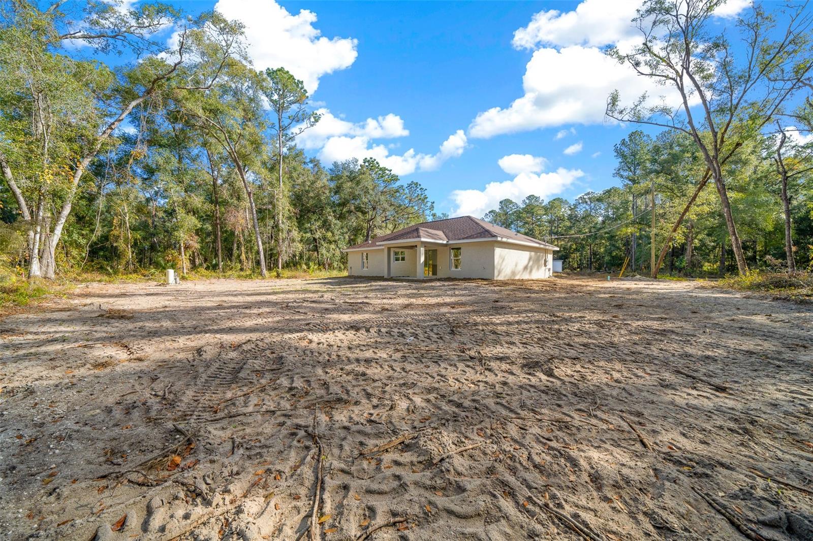 16369 SE 100 PL, OCKLAWAHA, FL, 32179