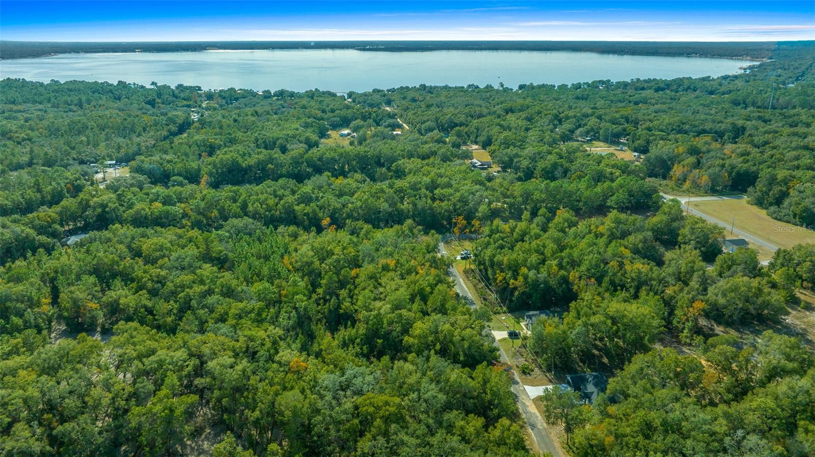 16369 SE 100 PL, OCKLAWAHA, FL, 32179