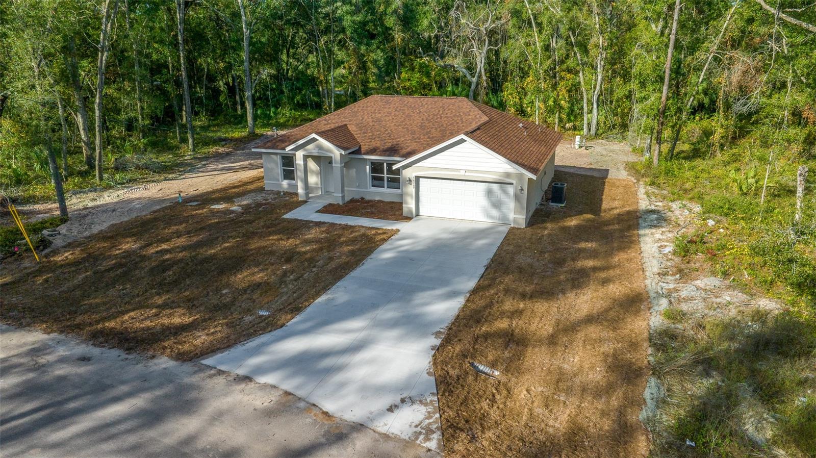 16369 SE 100 PL, OCKLAWAHA, FL, 32179