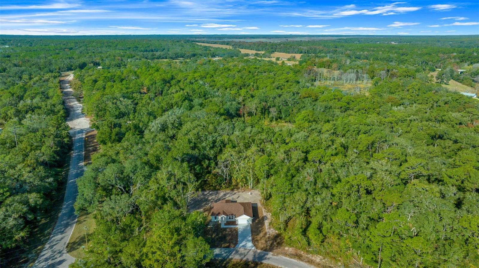 16369 SE 100 PL, OCKLAWAHA, FL, 32179