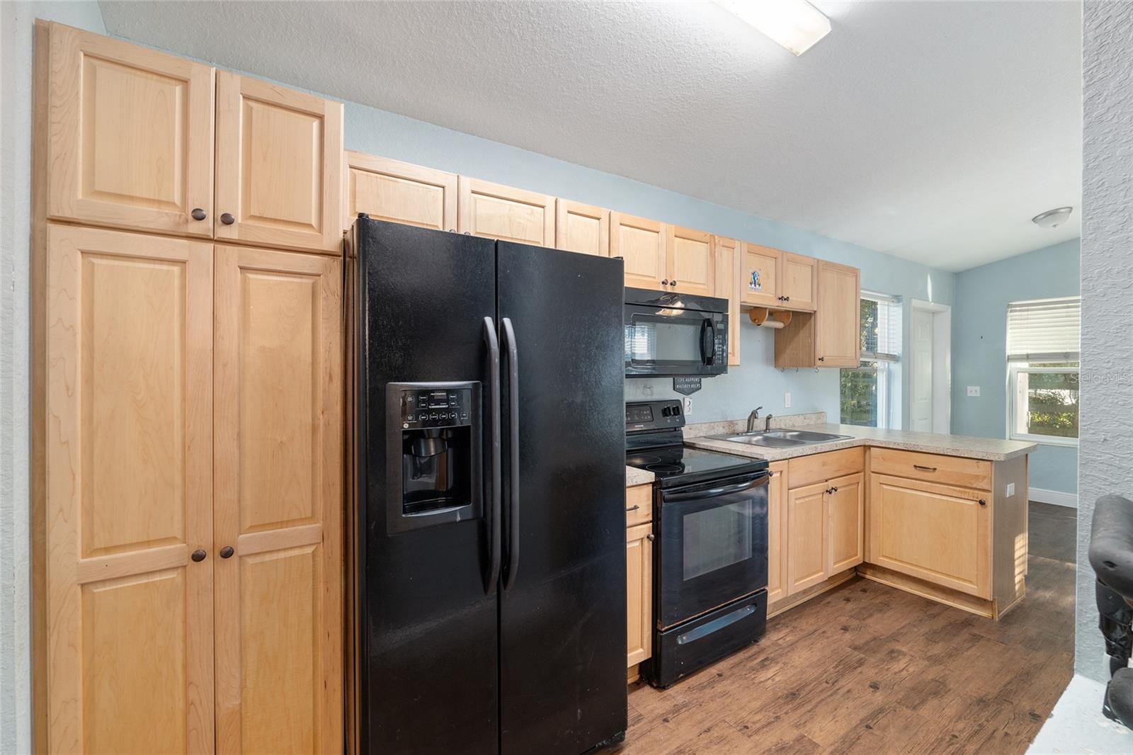 2067 SE 175TH TER, SILVER SPRINGS, FL, 34488