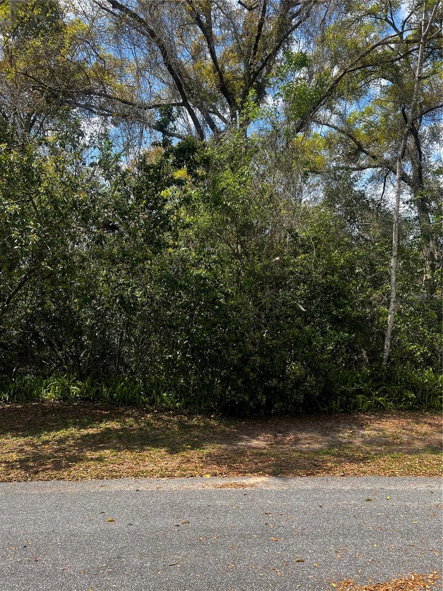 2232 S TEE CIR, CITRUS SPRINGS, FL, 34434