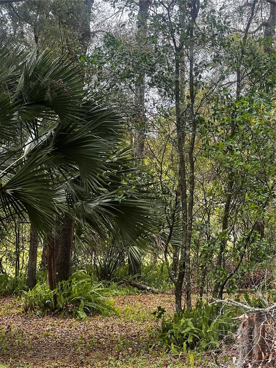2232 S TEE CIR, CITRUS SPRINGS, FL, 34434