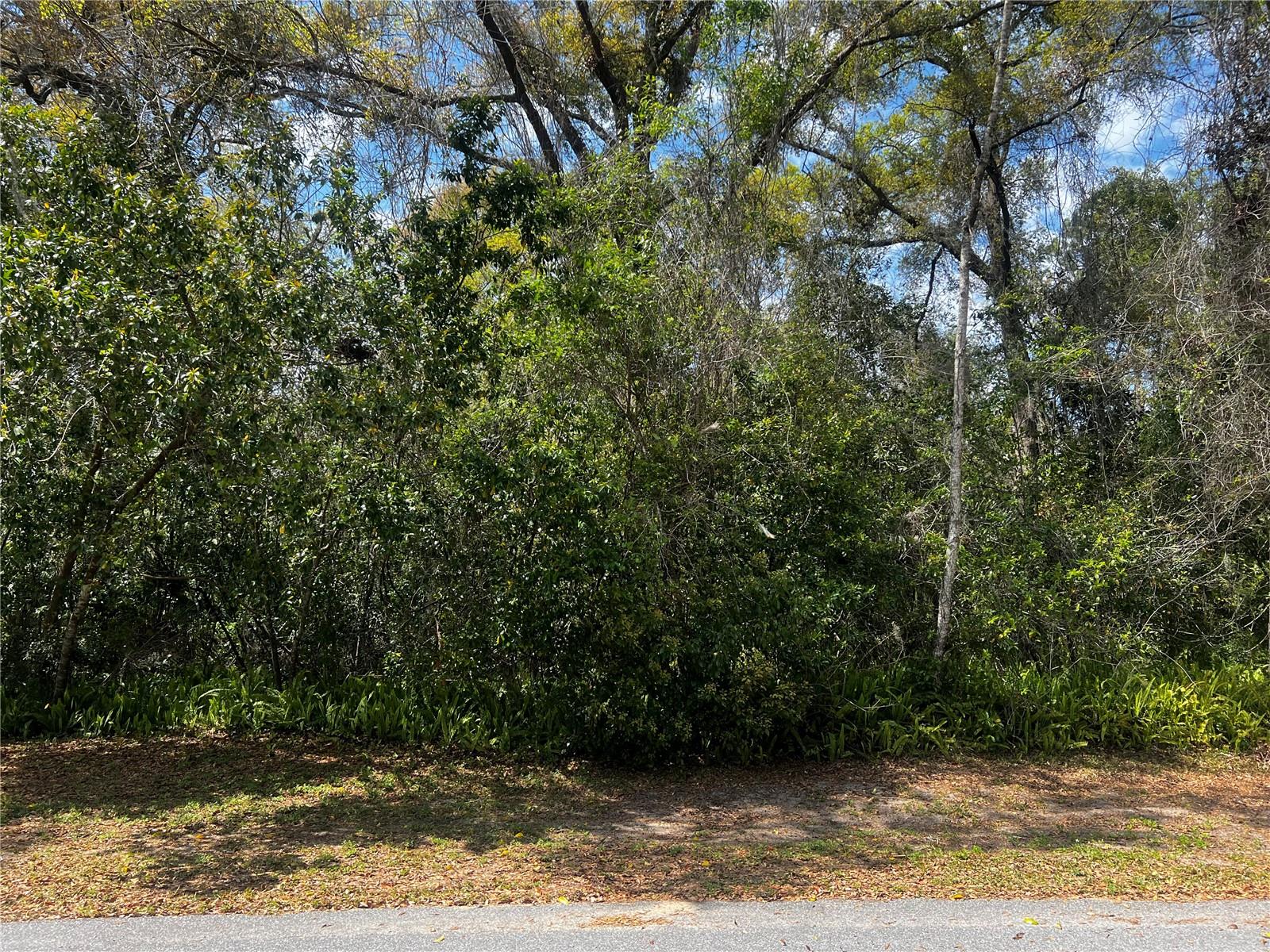 2232 S TEE CIR, CITRUS SPRINGS, FL, 34434