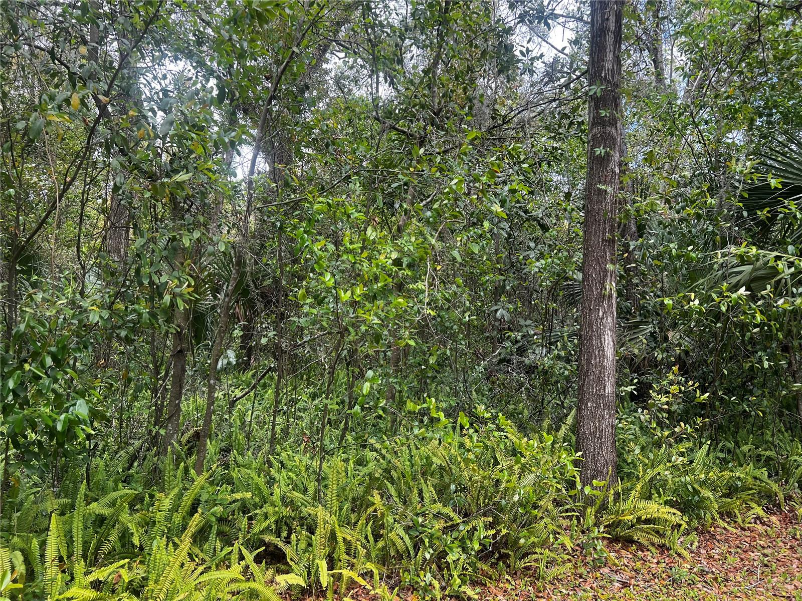 2232 S TEE CIR, CITRUS SPRINGS, FL, 34434
