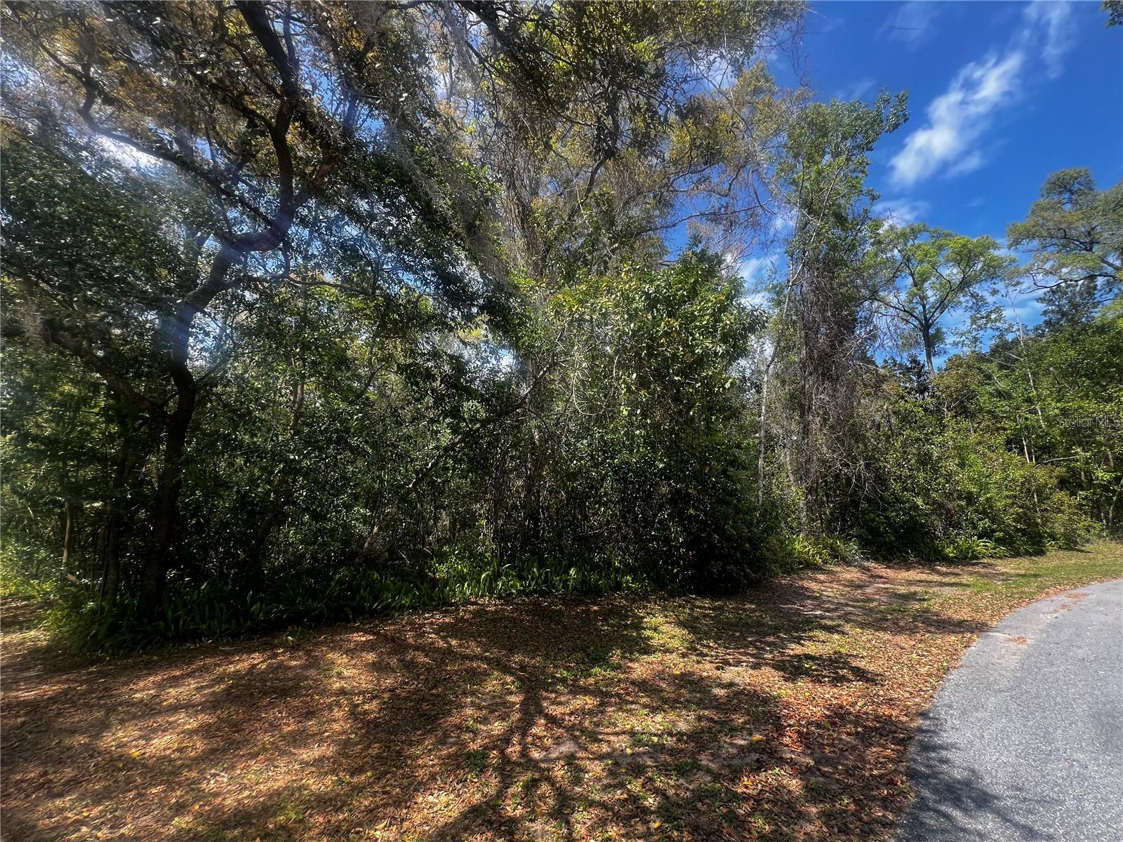 2232 S TEE CIR, CITRUS SPRINGS, FL, 34434
