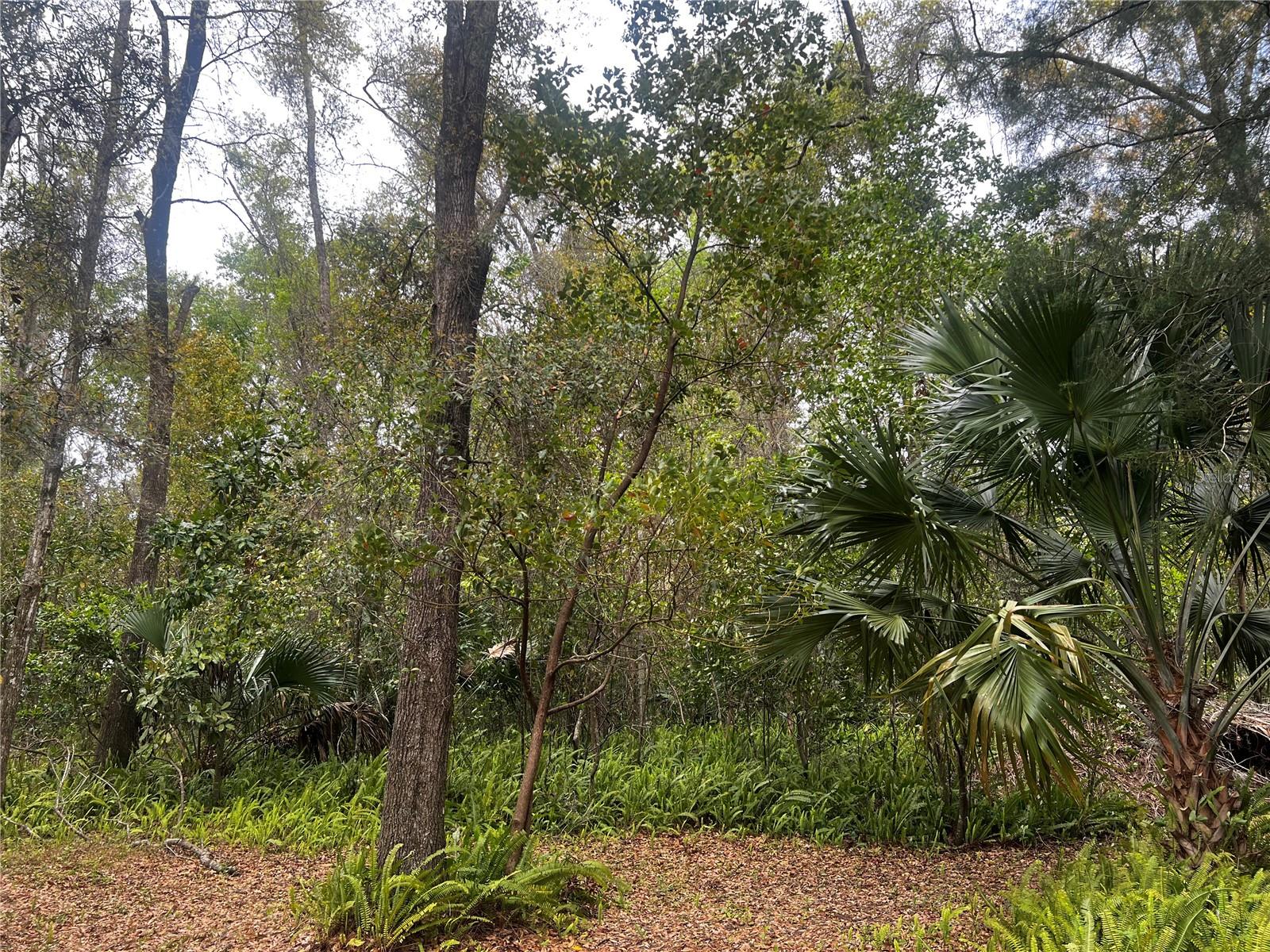 2232 S TEE CIR, CITRUS SPRINGS, FL, 34434