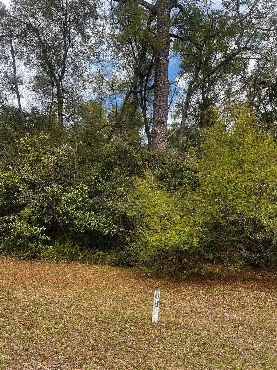 2232 S TEE CIR, CITRUS SPRINGS, FL, 34434