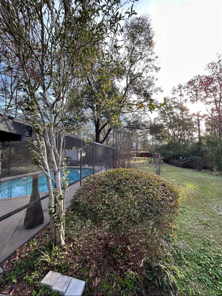 205 SW 123RD ST, NEWBERRY, FL, 32669