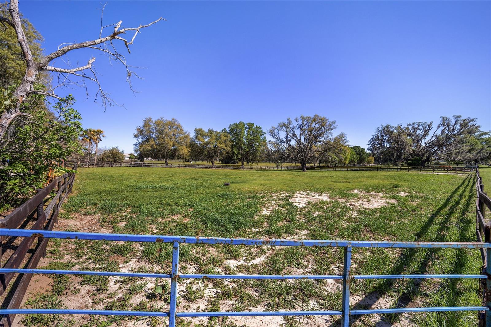 4851 W HWY 329, REDDICK, FL, 32686