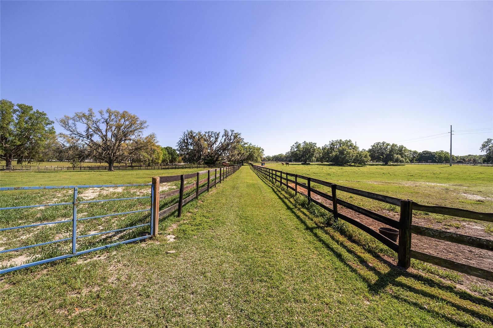 4851 W HWY 329, REDDICK, FL, 32686