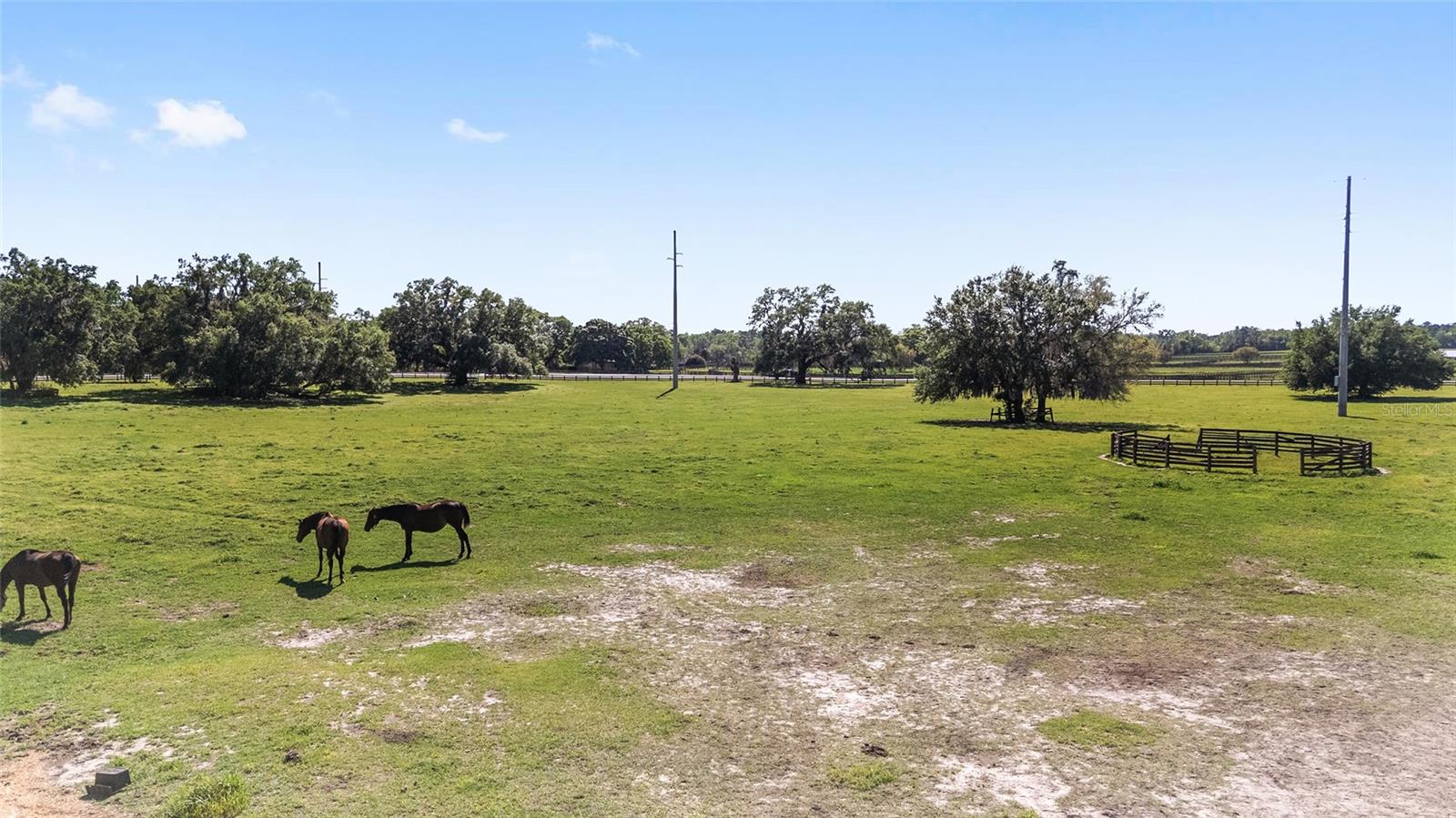 4851 W HWY 329, REDDICK, FL, 32686