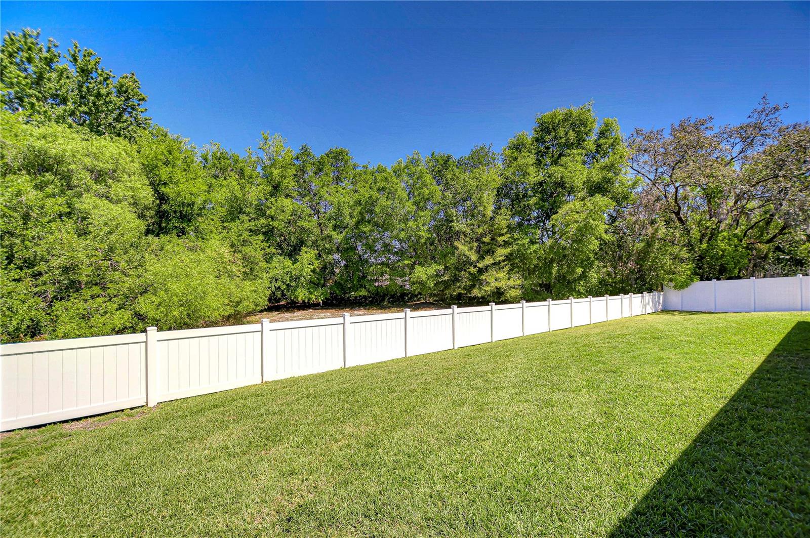 4303 WHITTNER DR, LAND O LAKES, FL, 34639
