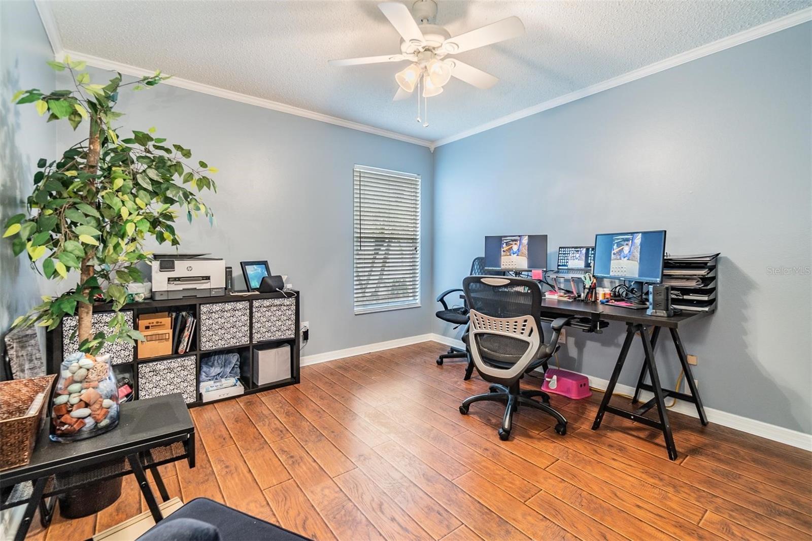 16808 WOBURN LN, LUTZ, FL, 33549