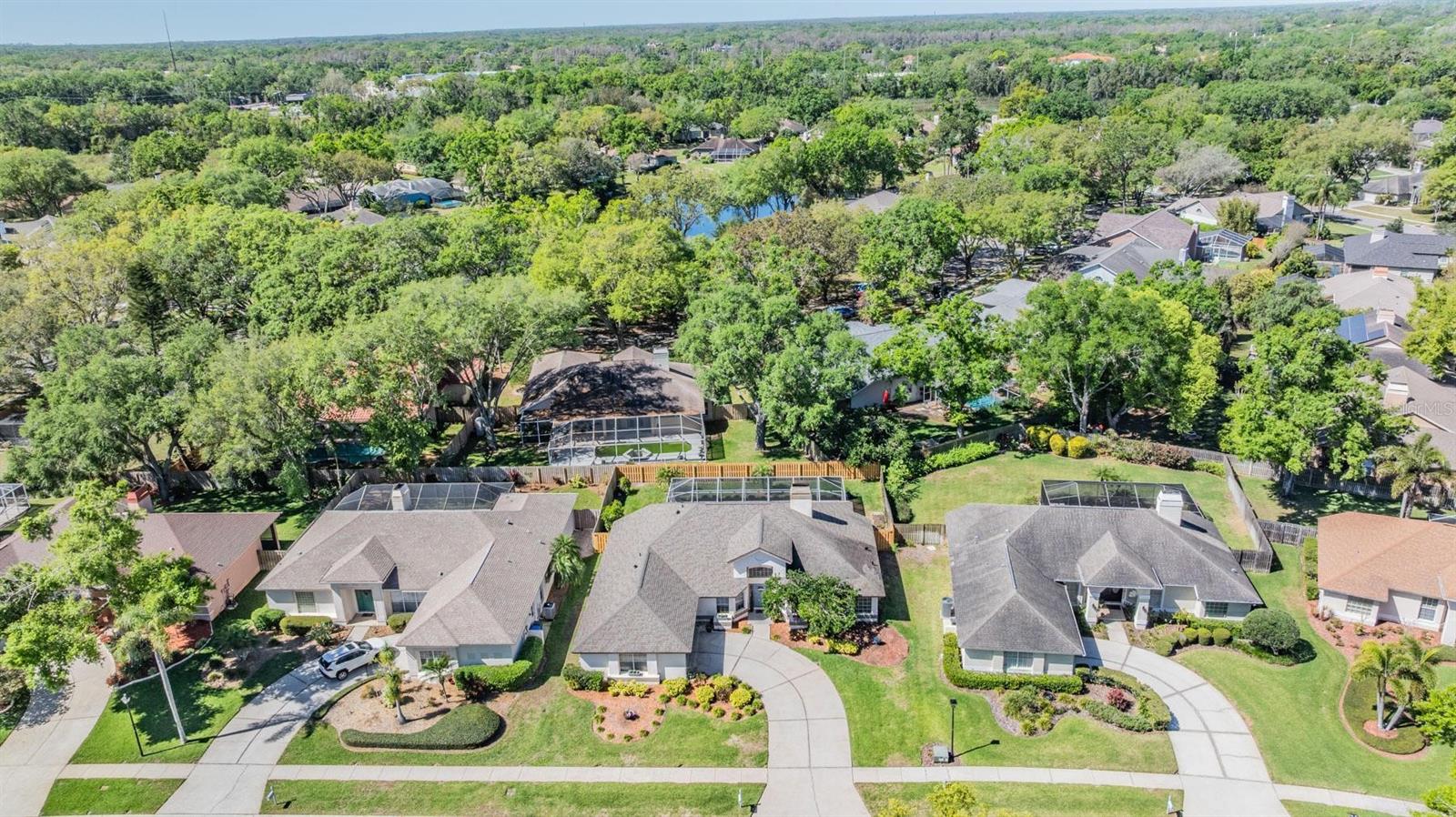 16808 WOBURN LN, LUTZ, FL, 33549