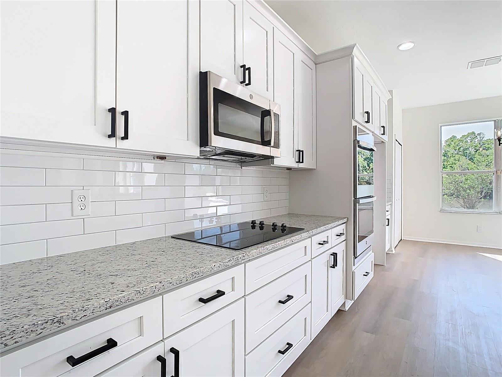 10818 BREAKING ROCKS DR, TAMPA, FL, 33647