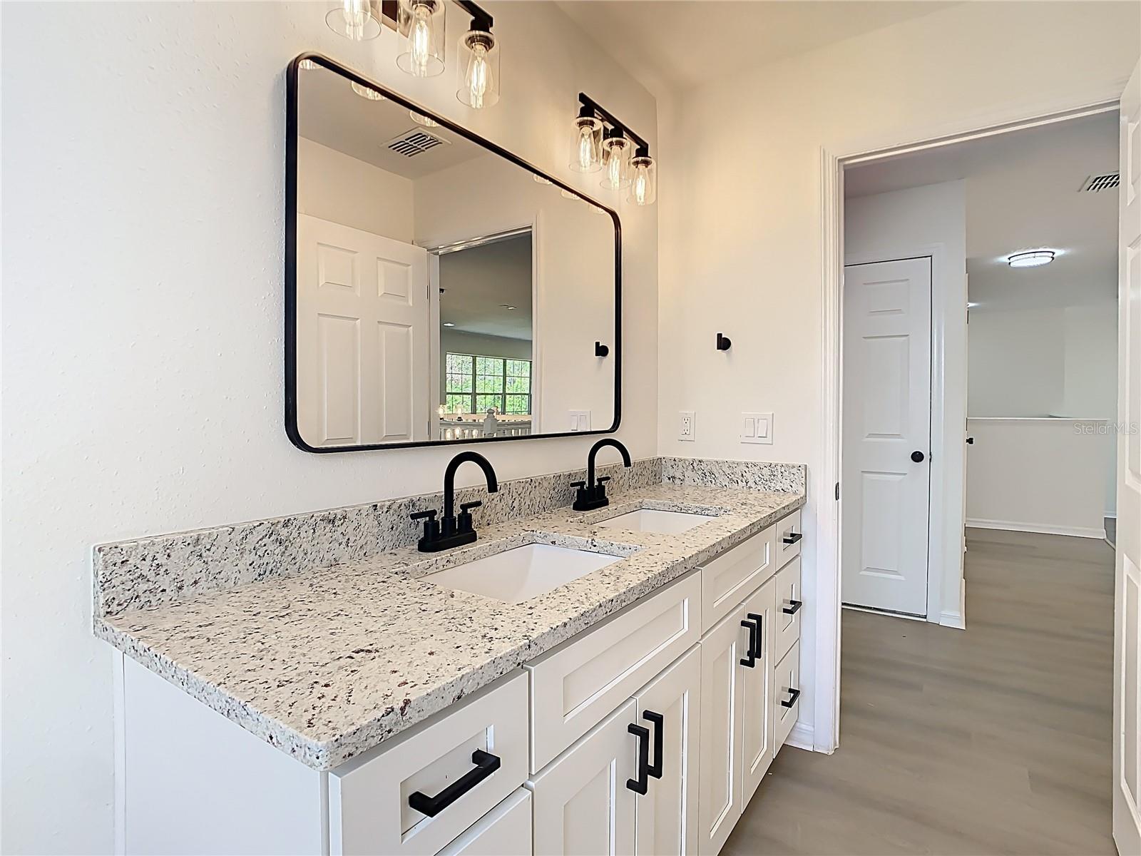 10818 BREAKING ROCKS DR, TAMPA, FL, 33647