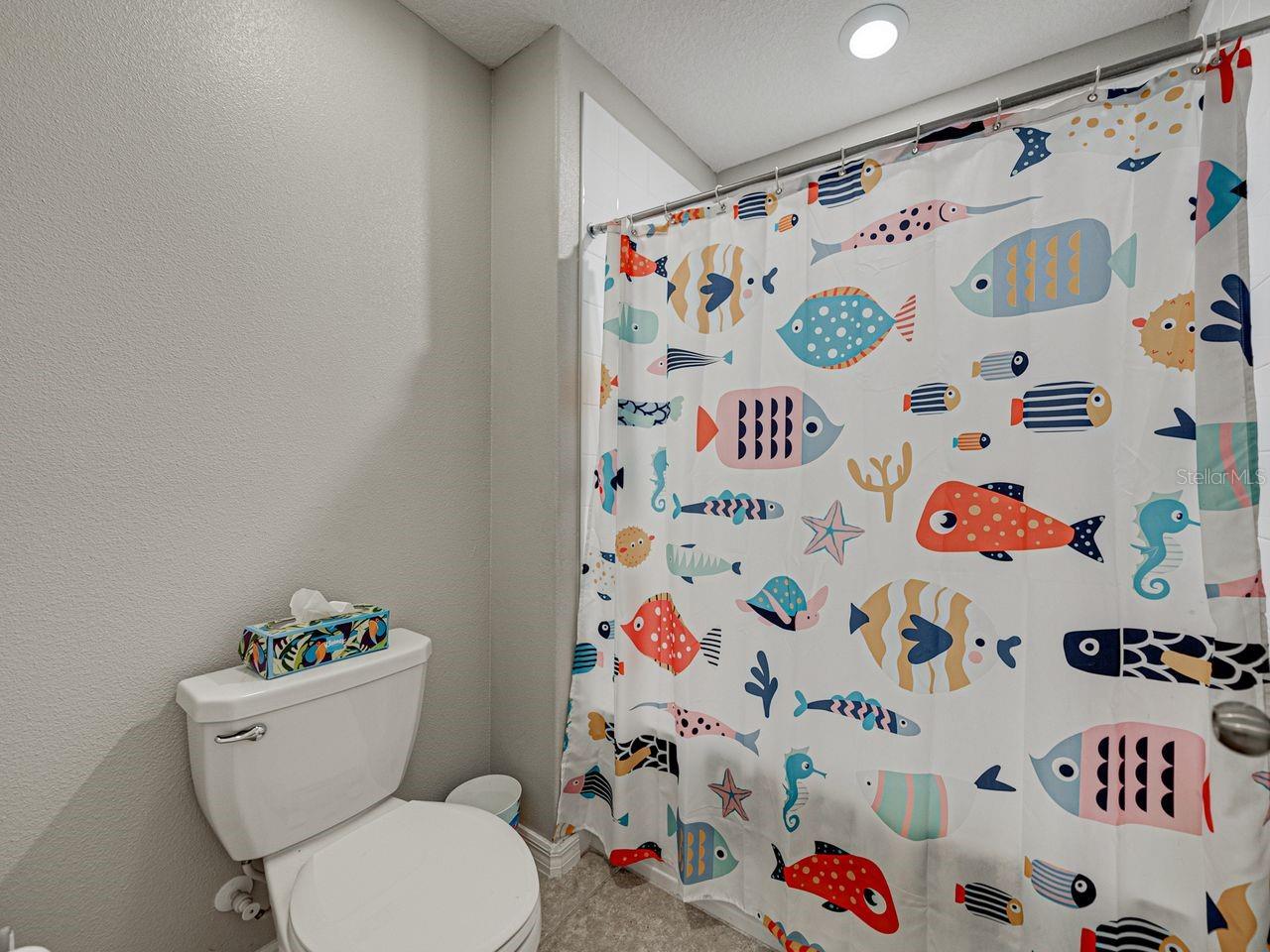 5210 DANDELION ST, APOLLO BEACH, FL, 33572