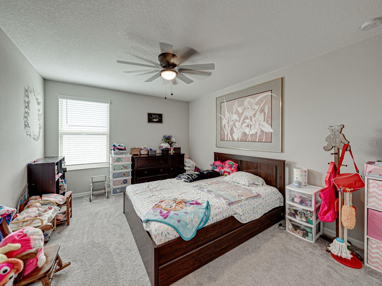 5210 DANDELION ST, APOLLO BEACH, FL, 33572