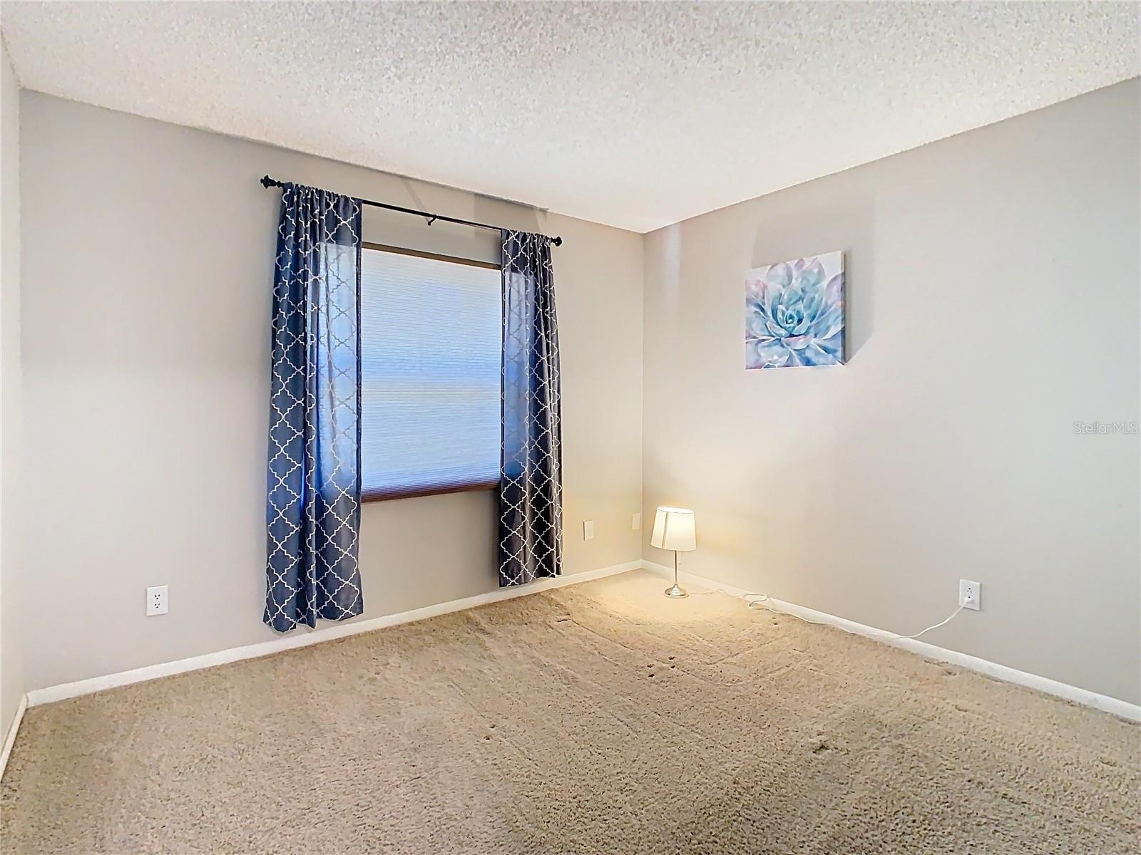 6826 ROSEMARY DR, TAMPA, FL, 33625