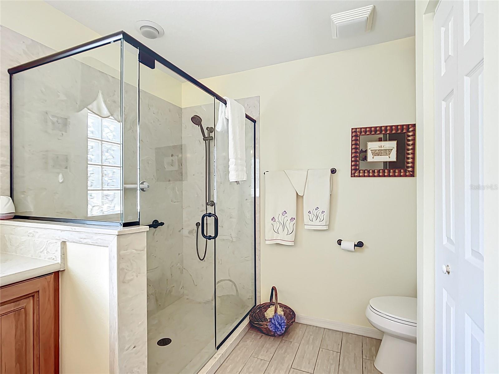 11010 SE 174TH LOOP, SUMMERFIELD, FL, 34491
