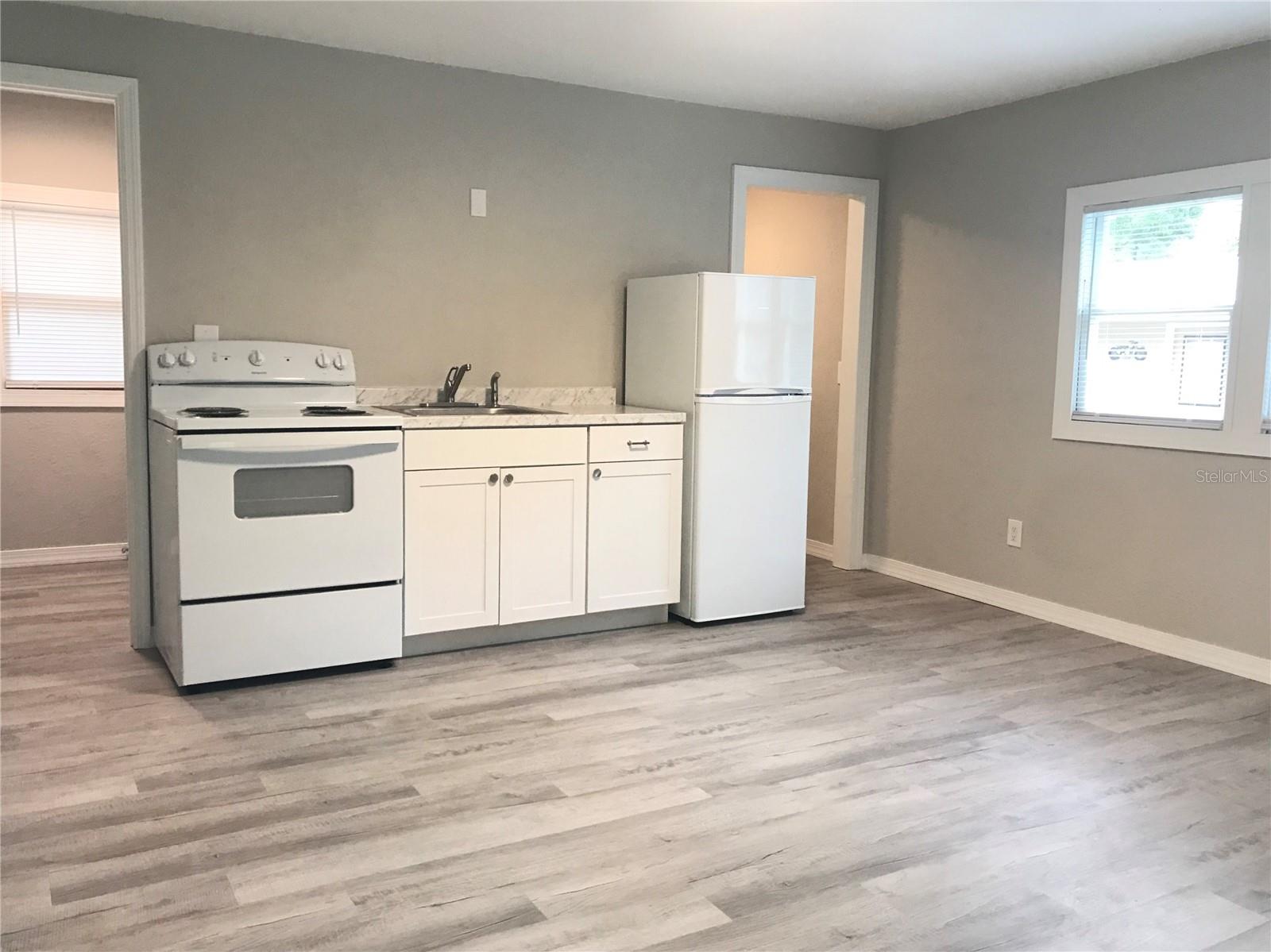 12075 SE 133RD TER, OCKLAWAHA, FL, 32179