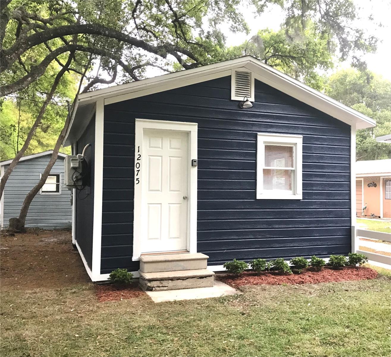 12075 SE 133RD TER, OCKLAWAHA, FL, 32179