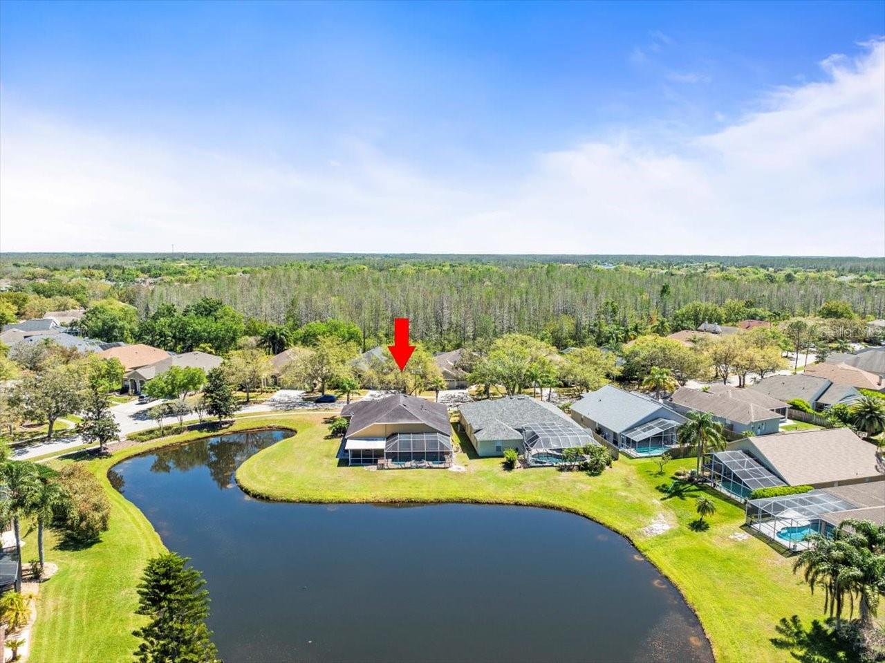 19230 WIND DANCER ST, LUTZ, FL, 33558