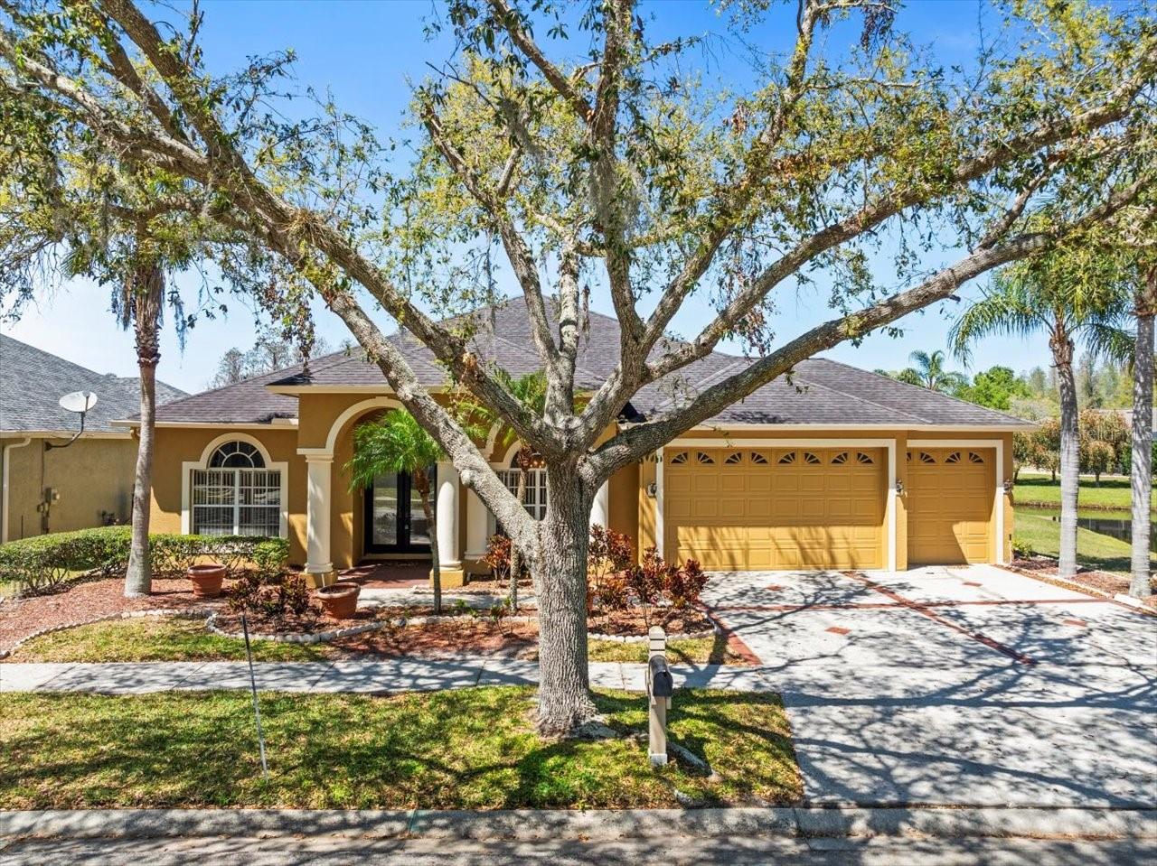 19230 WIND DANCER ST, LUTZ, FL, 33558