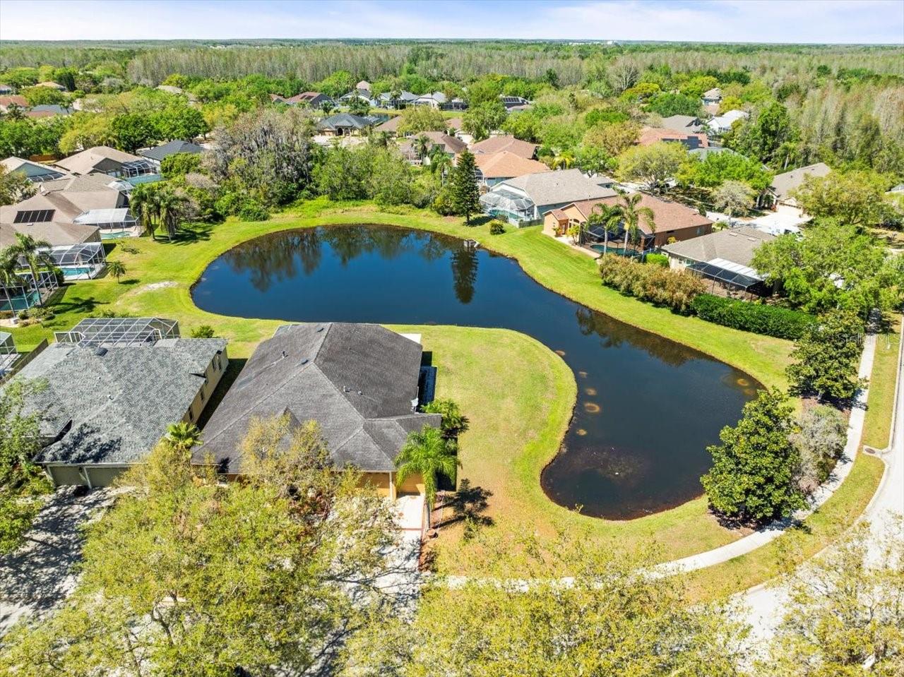 19230 WIND DANCER ST, LUTZ, FL, 33558