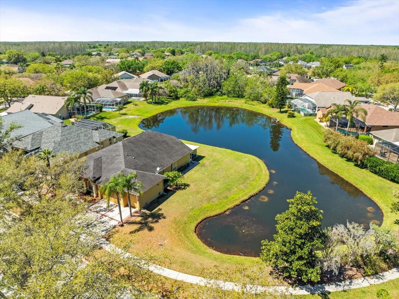19230 WIND DANCER ST, LUTZ, FL, 33558