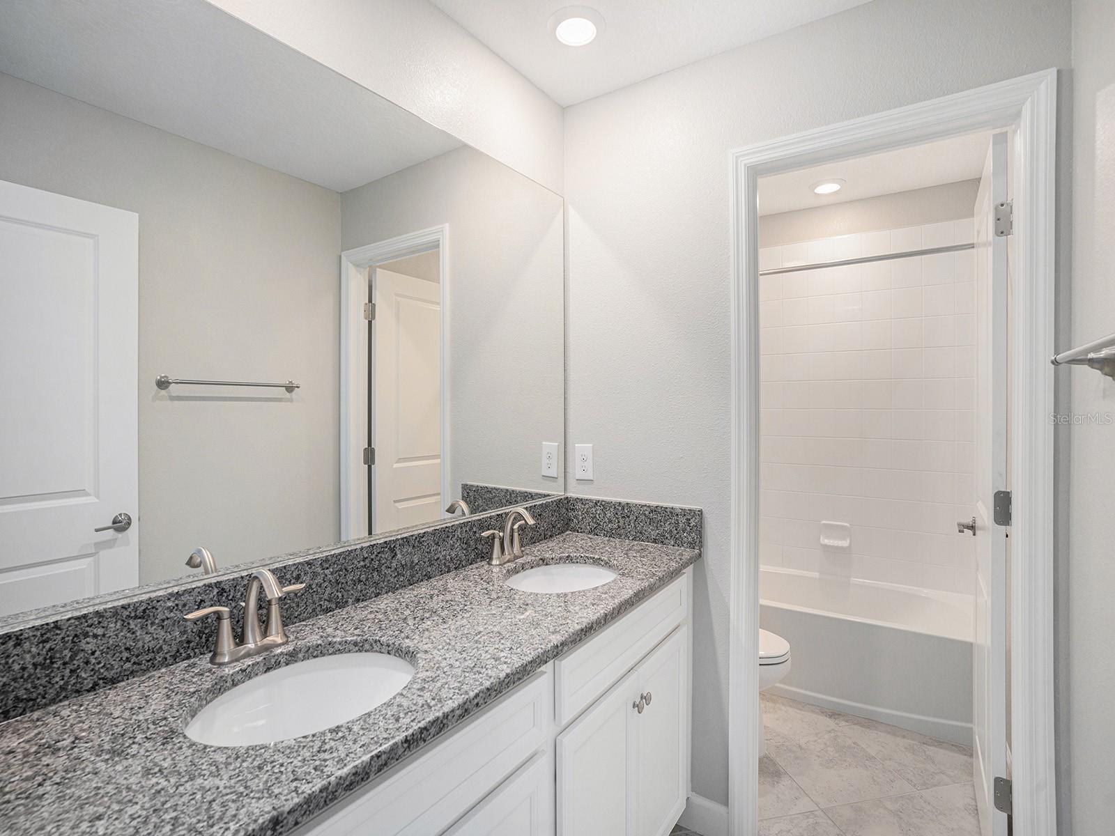 11418 FRESHWATER RIDGE DR, RIVERVIEW, FL, 33569