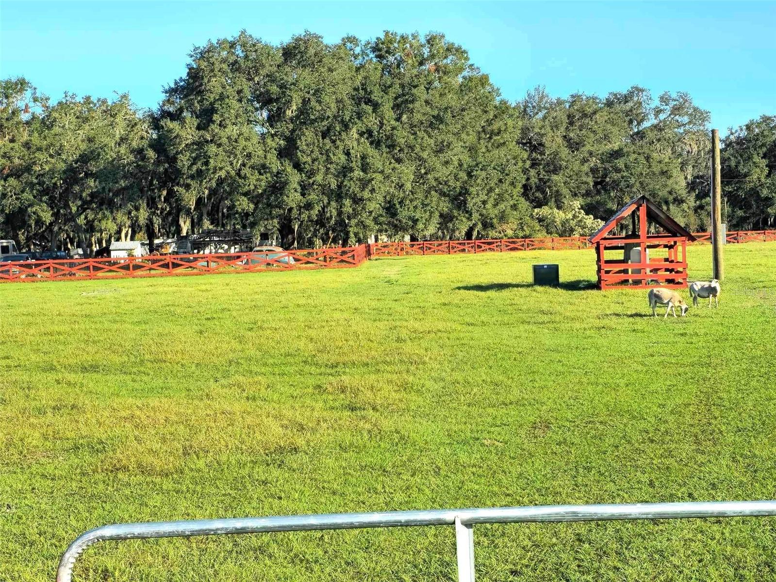 7786 COUNTY ROAD 674, BUSHNELL, FL, 33513