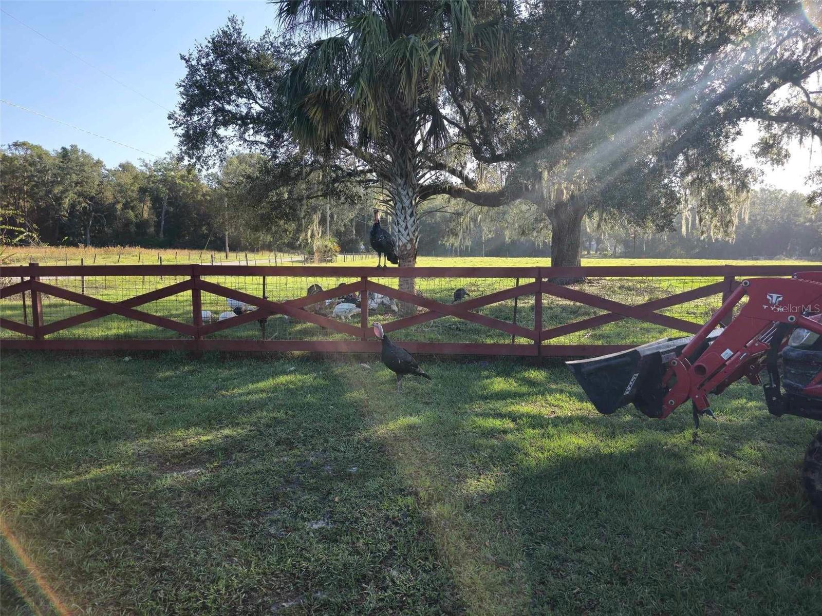 7786 COUNTY ROAD 674, BUSHNELL, FL, 33513