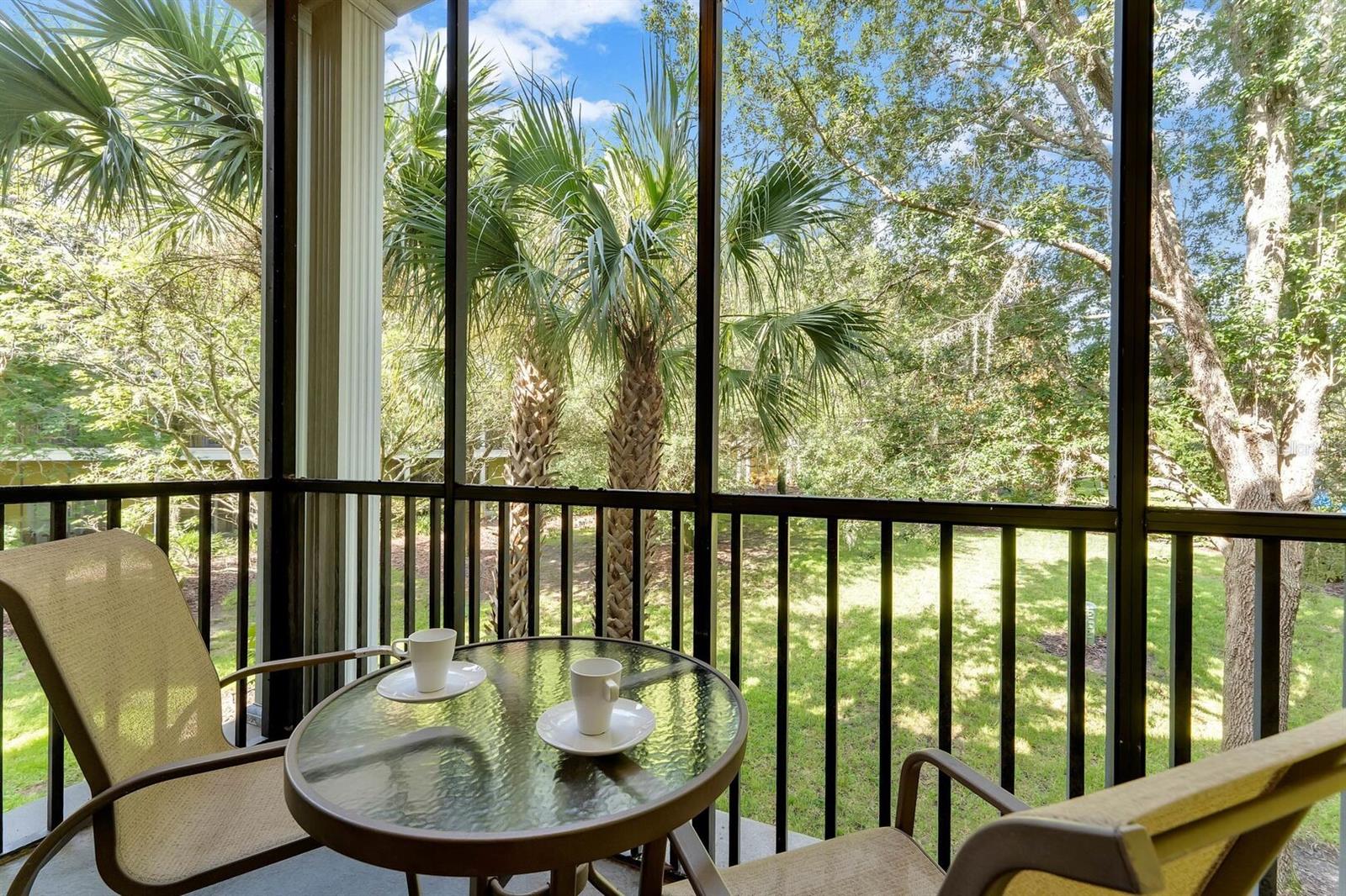 806 LUCAYA LOOP, DAVENPORT, FL, 33897