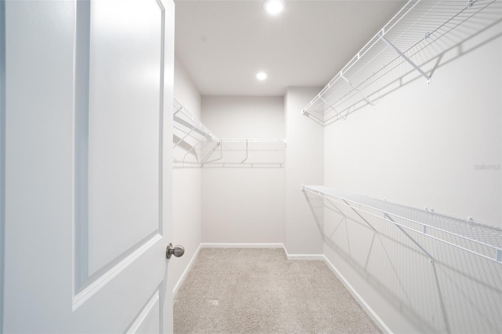 2443 ARBOR WIND DR, LUTZ, FL, 33558