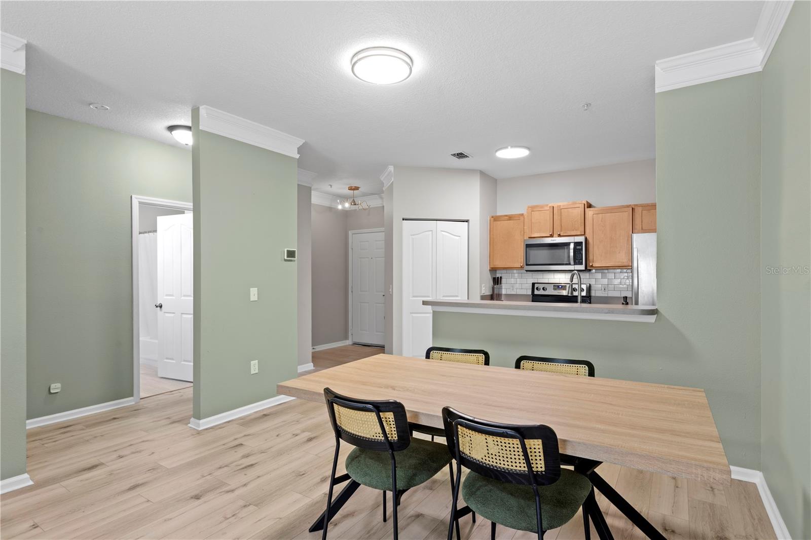 4207 S DALE MABRY HWY #4201, TAMPA, FL, 33611