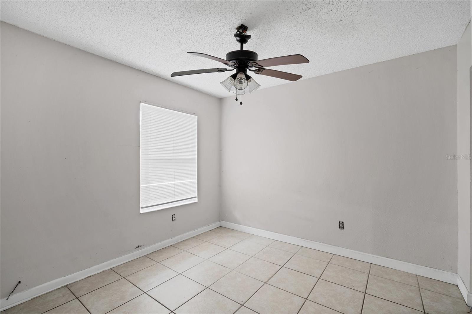 8706 FISH LAKE RD, TAMPA, FL, 33619
