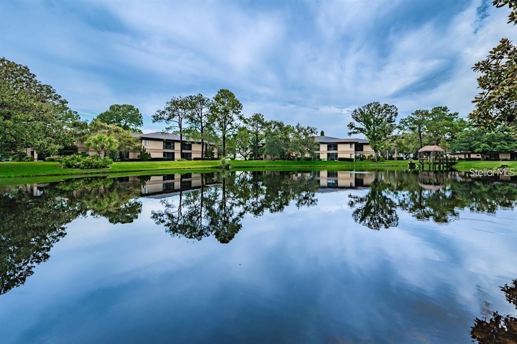 2693 SABAL SPRINGS CIR #203, CLEARWATER, FL, 33761