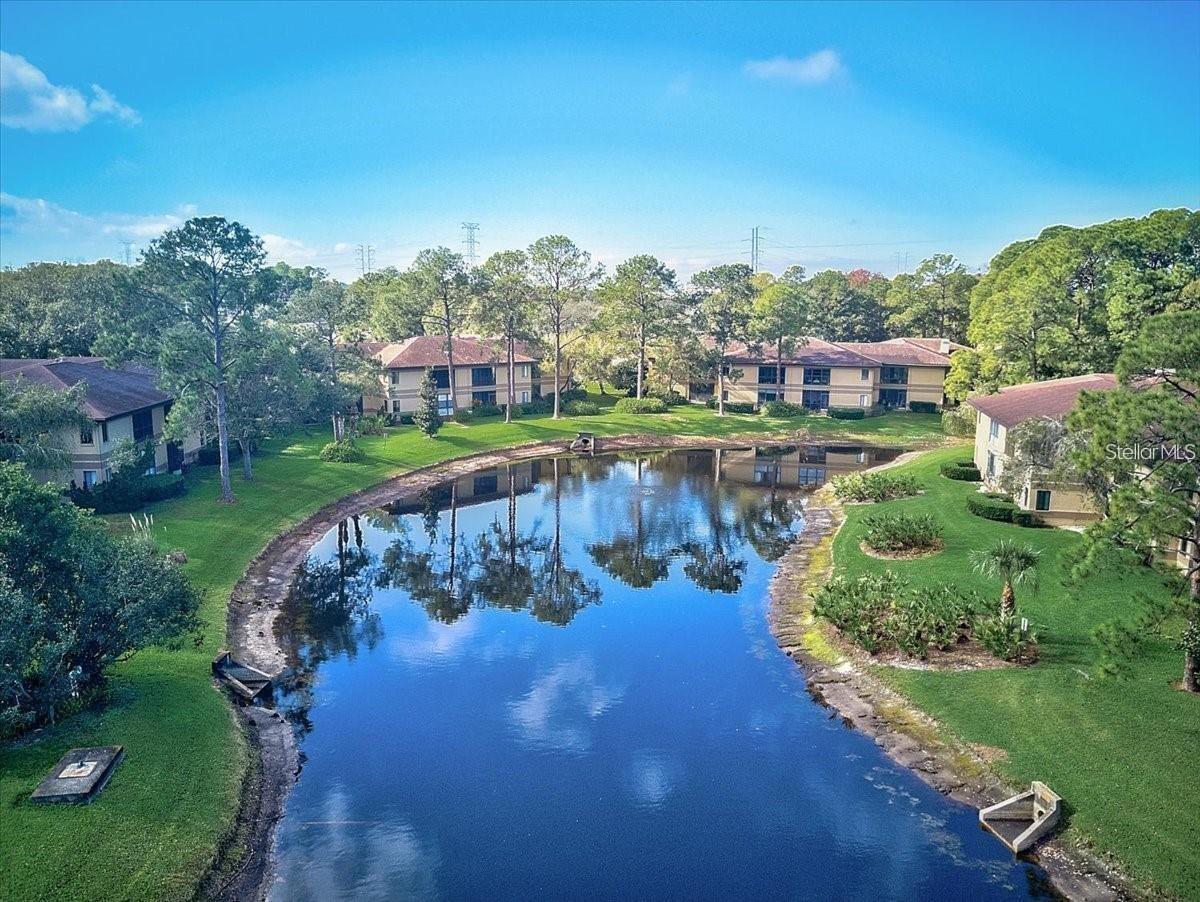2693 SABAL SPRINGS CIR #203, CLEARWATER, FL, 33761