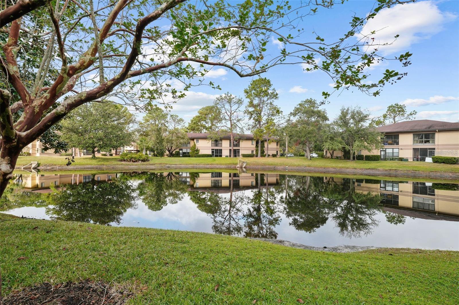 2693 SABAL SPRINGS CIR #203, CLEARWATER, FL, 33761