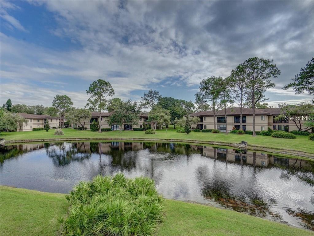 2693 SABAL SPRINGS CIR #203, CLEARWATER, FL, 33761