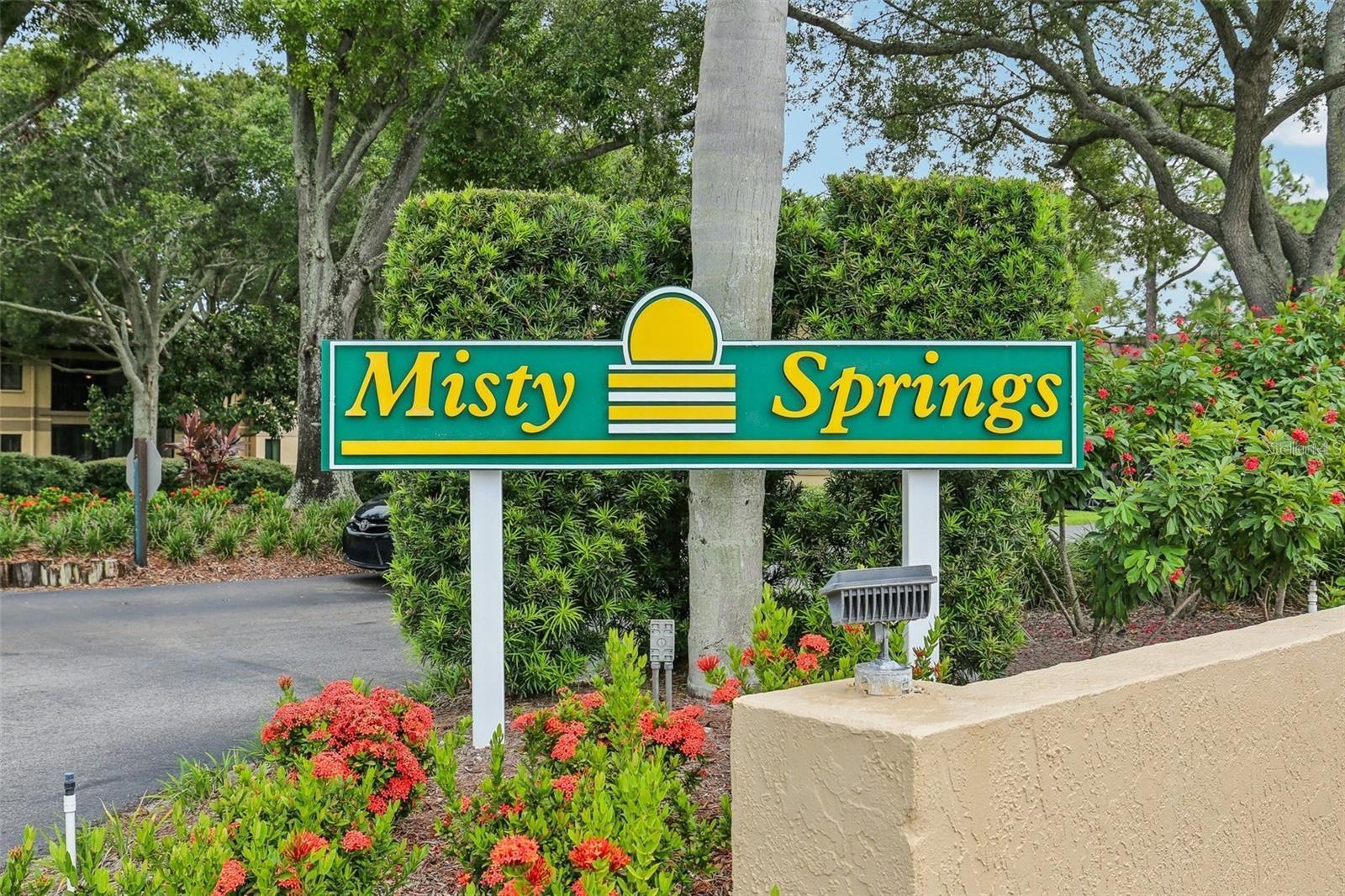 2693 SABAL SPRINGS CIR #203, CLEARWATER, FL, 33761