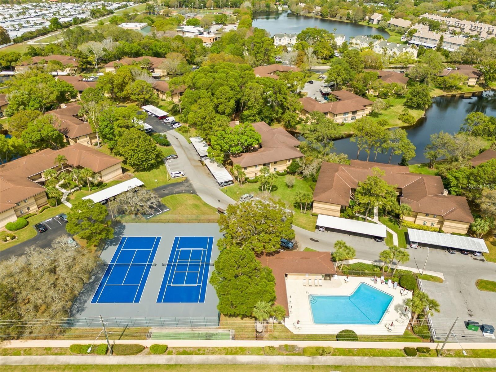2693 SABAL SPRINGS CIR #203, CLEARWATER, FL, 33761